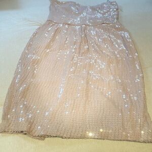 French Connection Shimmering Champagne Dress